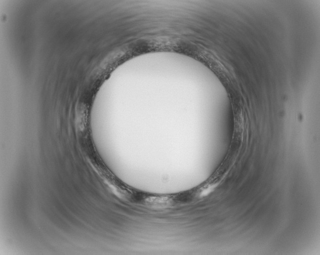 X0000085840133200704091733