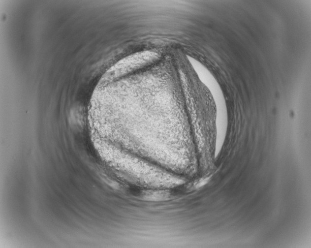 X0000085840135200704091733