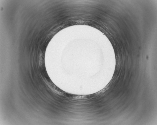 X0000085840136200704091733