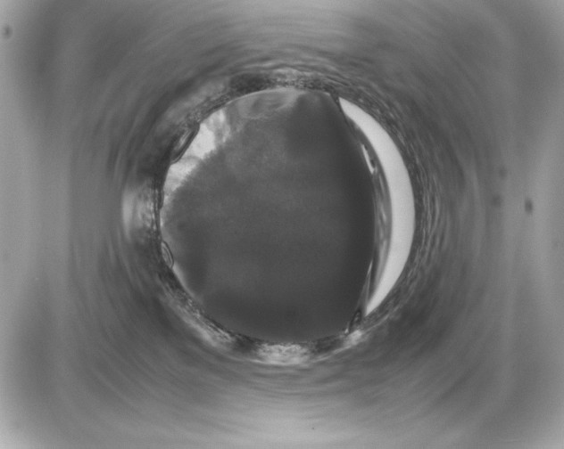 X0000085840137200704091733