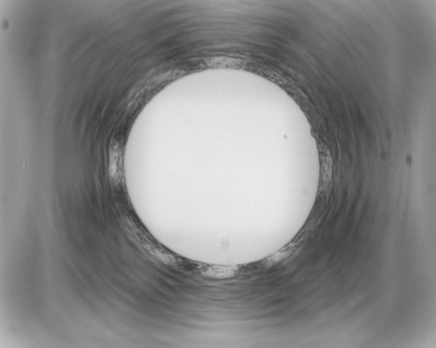 X0000085840138200704091733