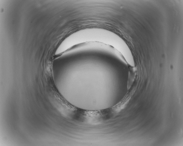 X0000085840141200704091733