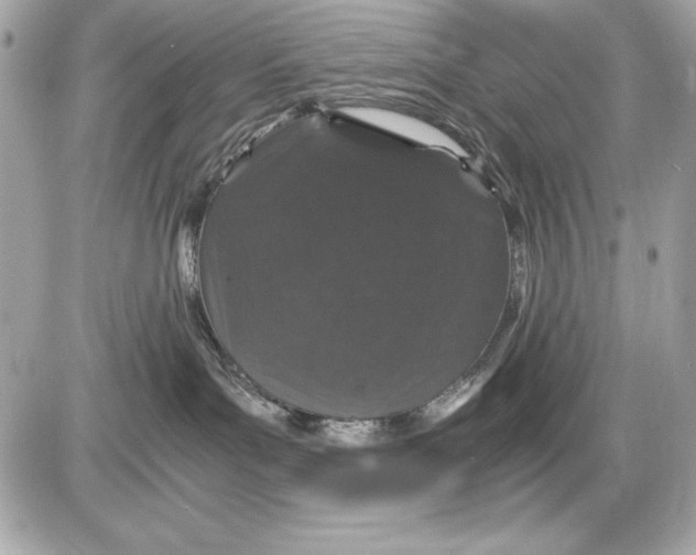 X0000085840143200704091733