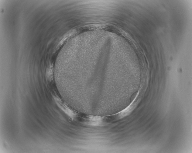 X0000085840144200704091733