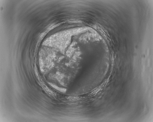 X0000085840145200704091732