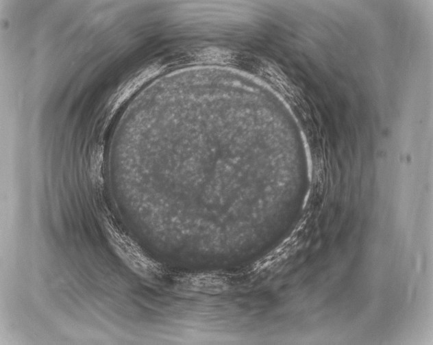 X0000085840146200704091732