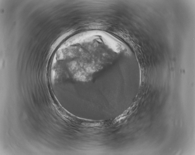 X0000085840147200704091732