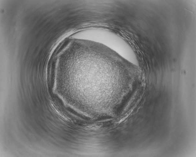 X0000085840148200704091732