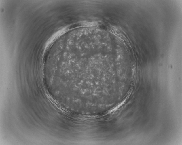 X0000085840149200704091732