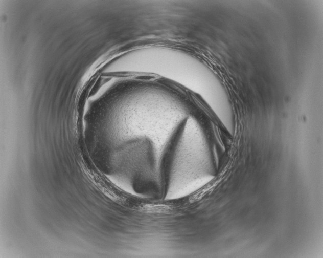 X0000085840150200704091732