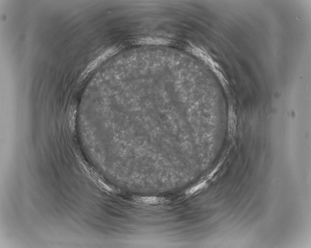 X0000085840153200704091732