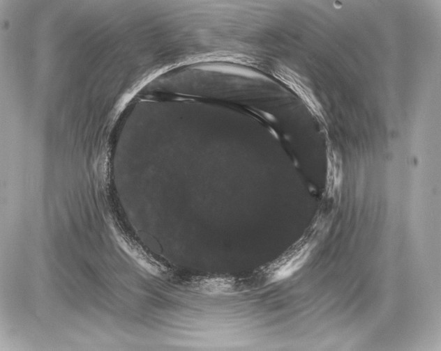 X0000085840156200704091732