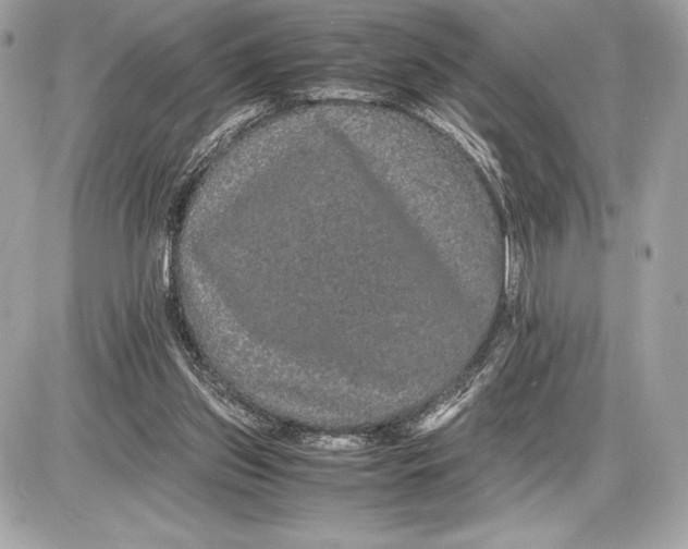 X0000085840157200704091732