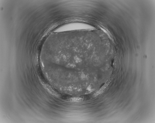 X0000085840158200704091732