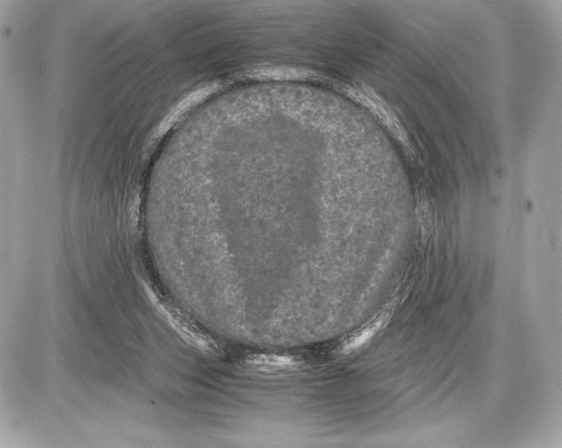 X0000085840159200704091732