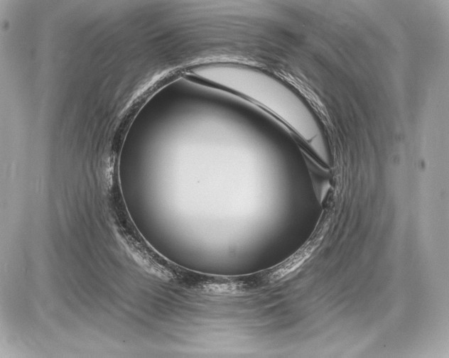 X0000085840160200704091732