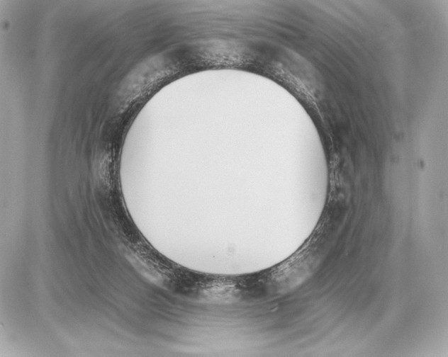 X0000085840162200704091732