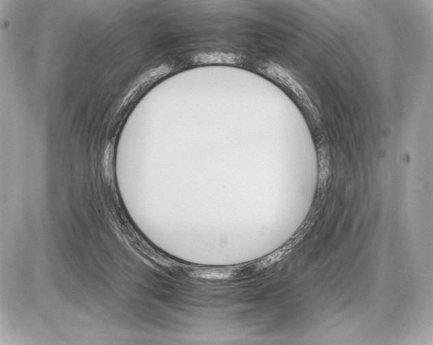 X0000085840163200704091732