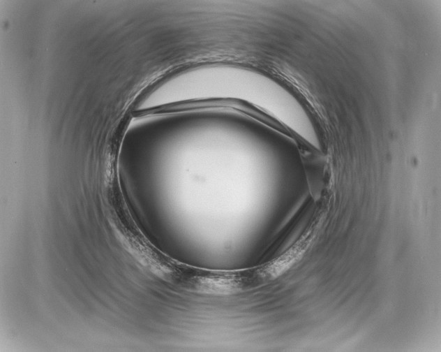 X0000085840164200704091732