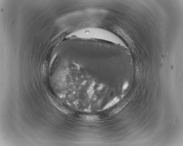 X0000085840165200704091732