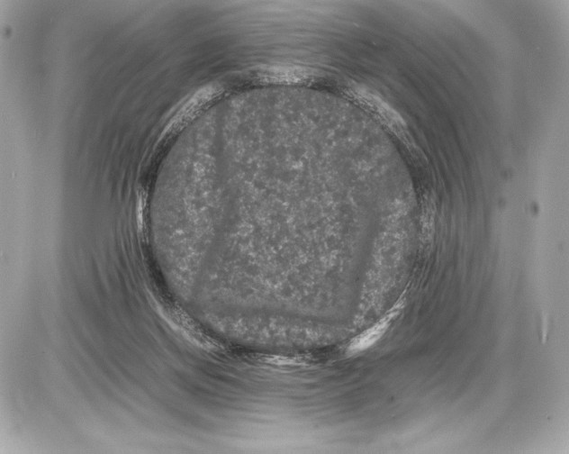 X0000085840166200704091732