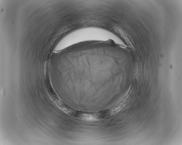 X0000085840167200704091732