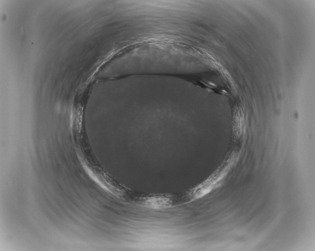 X0000085840168200704091732