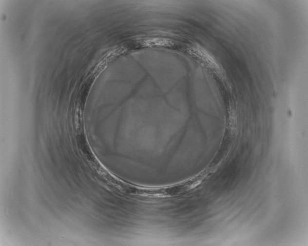 X0000085840169200704091732