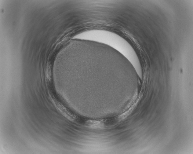 X0000085840170200704091732