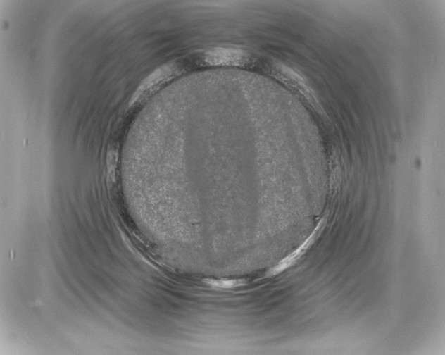 X0000085840171200704091732