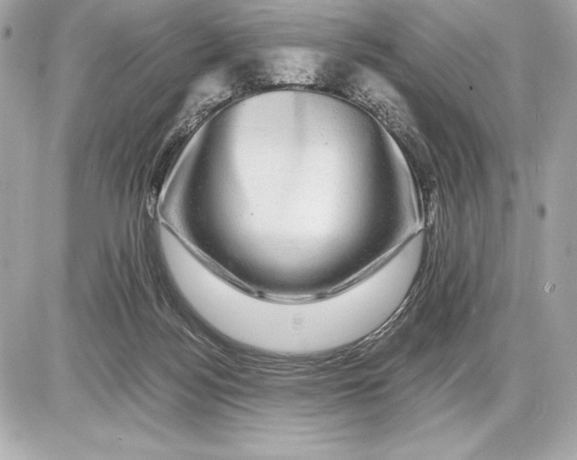 X0000085840172200704091732