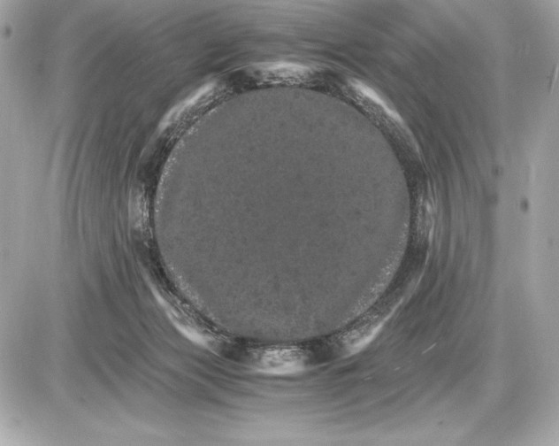 X0000085840173200704091732