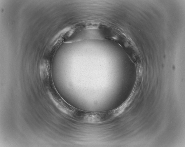 X0000085840174200704091732