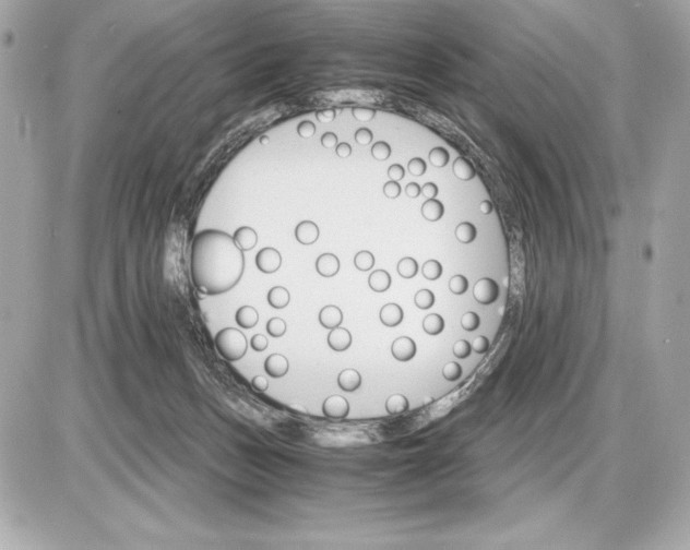 X0000085840175200704091732