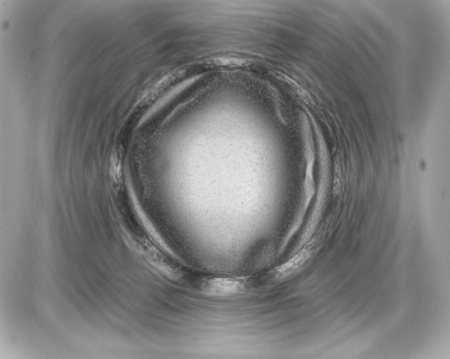 X0000085840176200704091733