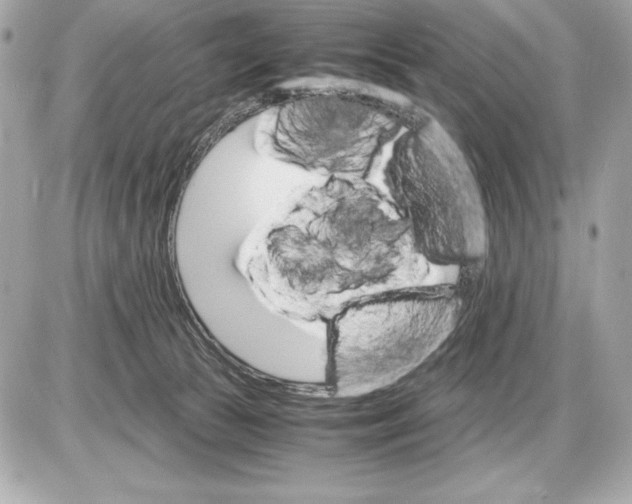 X0000085840177200704091733