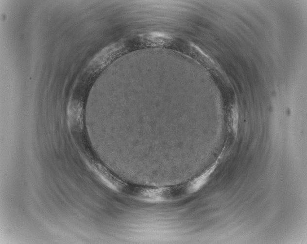 X0000085840178200704091733