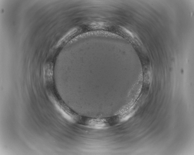 X0000085840179200704091733