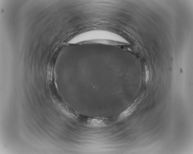 X0000085840180200704091733