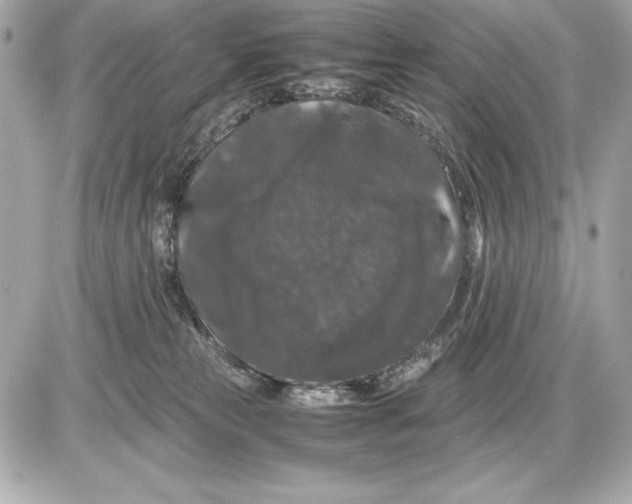 X0000085840181200704091733