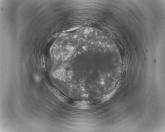 X0000085840182200704091733