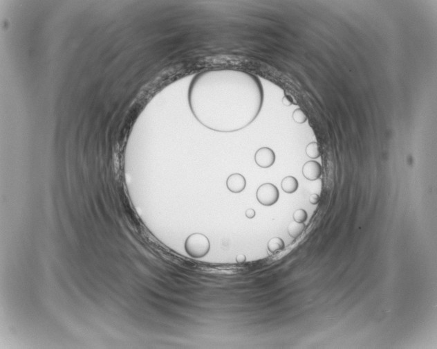 X0000085840183200704091733