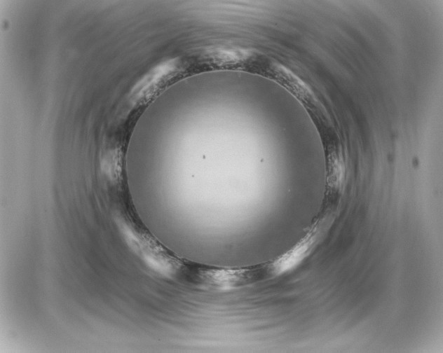 X0000085840184200704091733