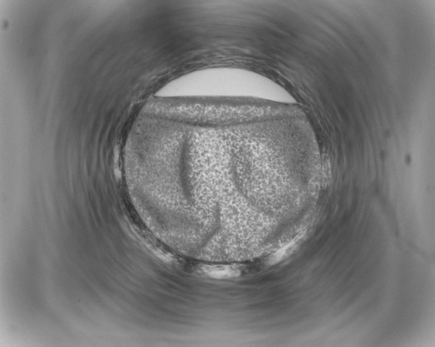 X0000085840187200704091733