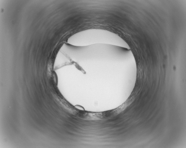 X0000085840188200704091733