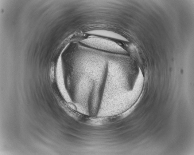 X0000085840190200704091733