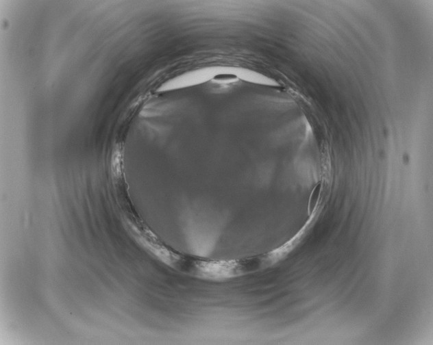 X0000085840191200704091733