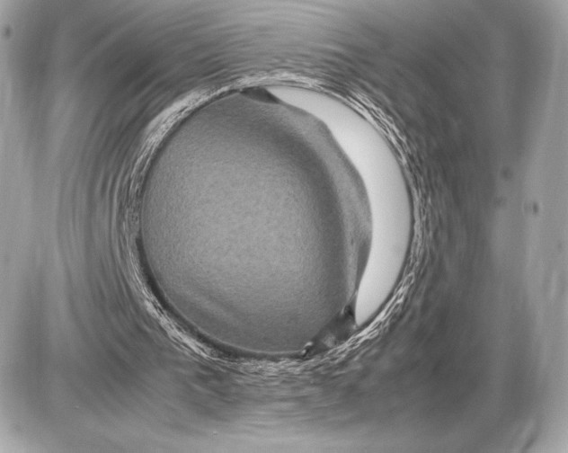 X0000085840193200704091732