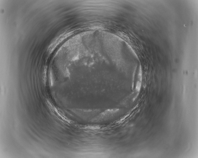 X0000085840194200704091732