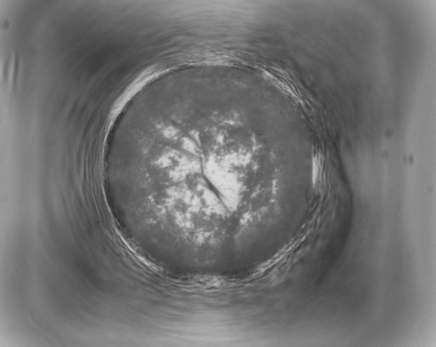 X0000085840195200704091732